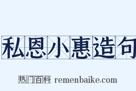 私恩小惠造句是什么意思的图片